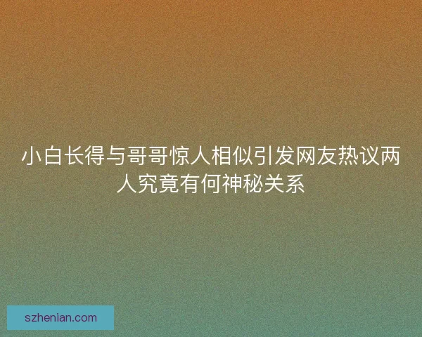 小白长得与哥哥惊人相似引发网友热议两人究竟有何神秘关系